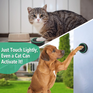 Daytech Dog Door Bell Smart Doggy Doorbell for Potty Training Go Outside/Housebreaking 4 Waterproof Touch Buttons 1 Number Display Receivers