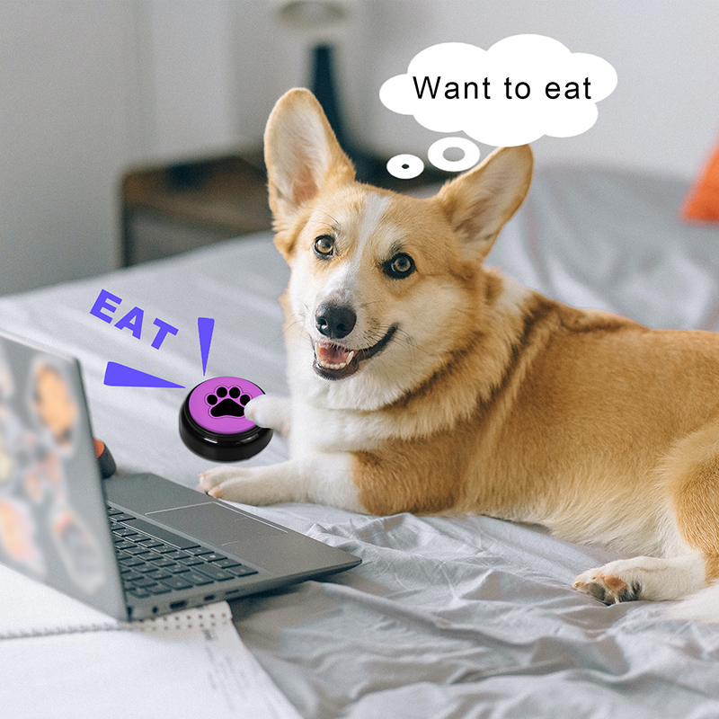 Daytech RB05-6 Pet Talking Voice Button Sound Dog Training Speak Buttons